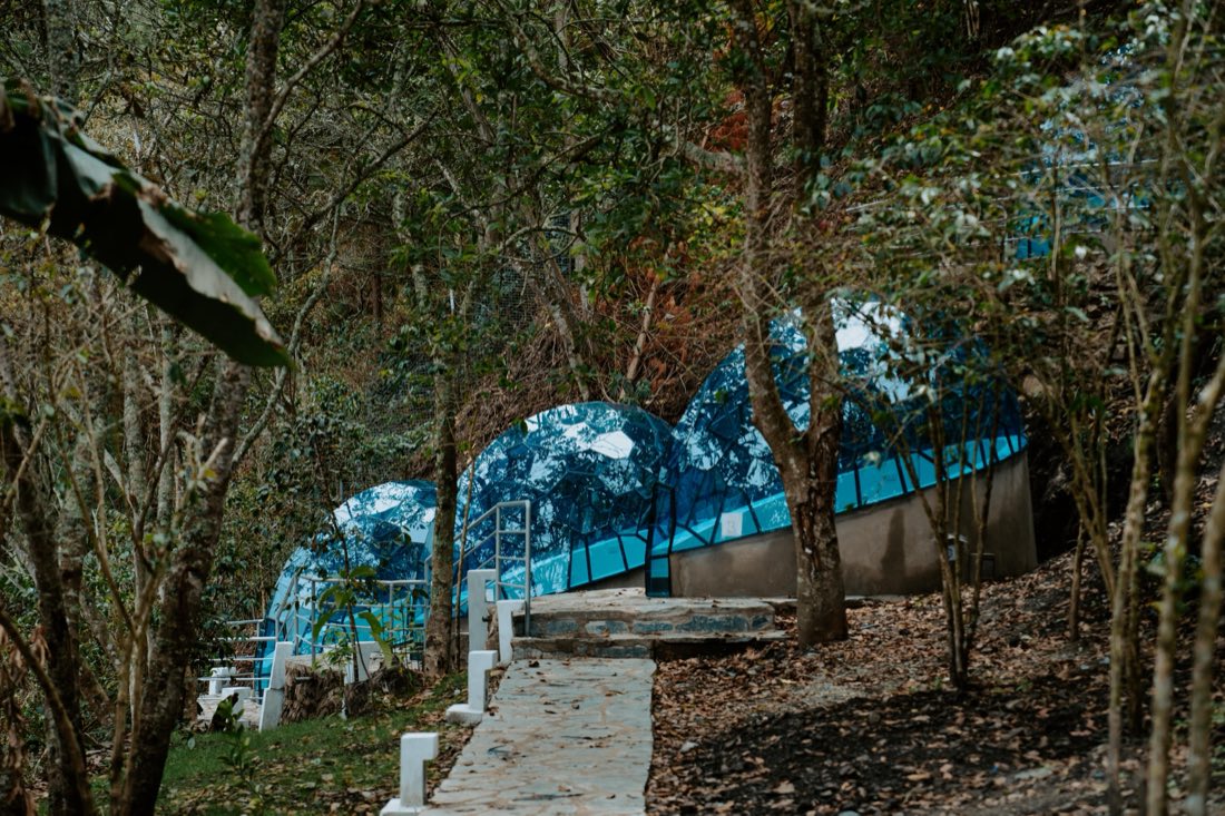 Day Trips